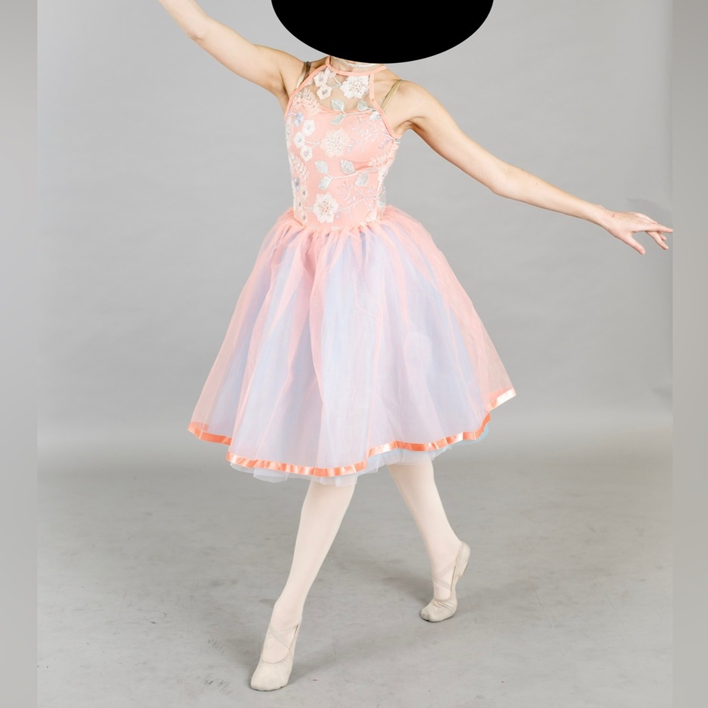 Laylas Ballet Dance Costume